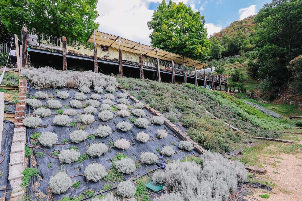 Agriturismo Ca' Fenile Villa Alzano Lombardo Buitenkant foto